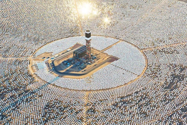 Сонячна електростанція спалює птахів