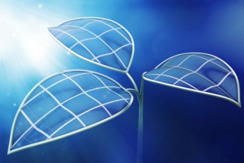Штучний фотосинтез допоможе ефективніше перетворювати сонячну енергію