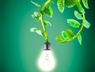 Plant-e вироблятиме електроенергію за допомогою живих рослин