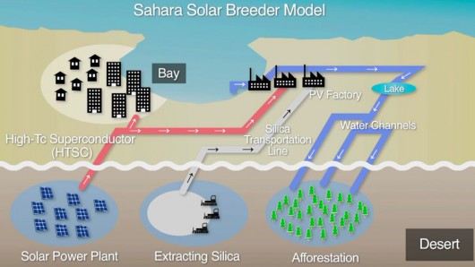 Сахару “заліснять” сонячними батареями