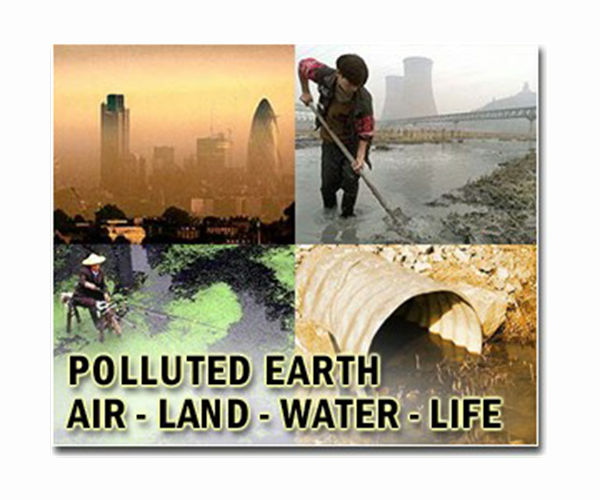 Новий метод використовує сонячну енергію для очищення грунту за допомогою біоплівок