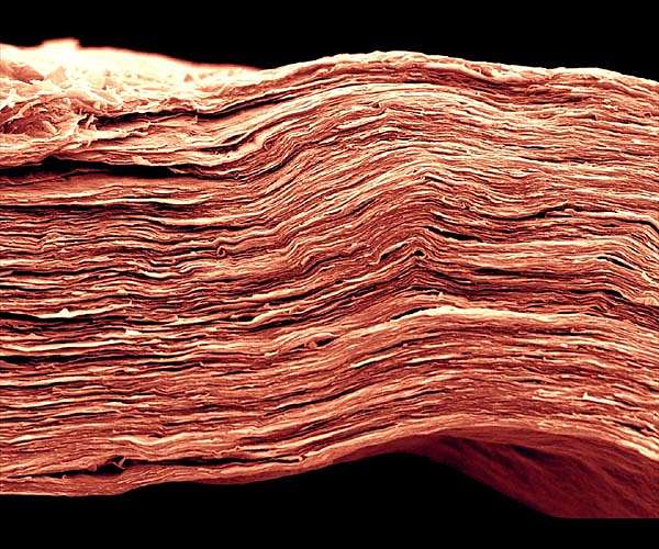 MXene добавка підвищує теплову стійкість та ефективність перовскітних сонячних елементів