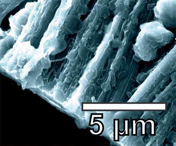 Редизайн карбонового каркасу покращує безпеку батарей та їх потужність